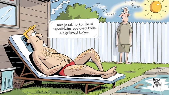 Náhodný obrázek